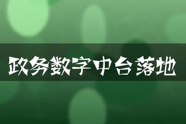 政务数字中台落地