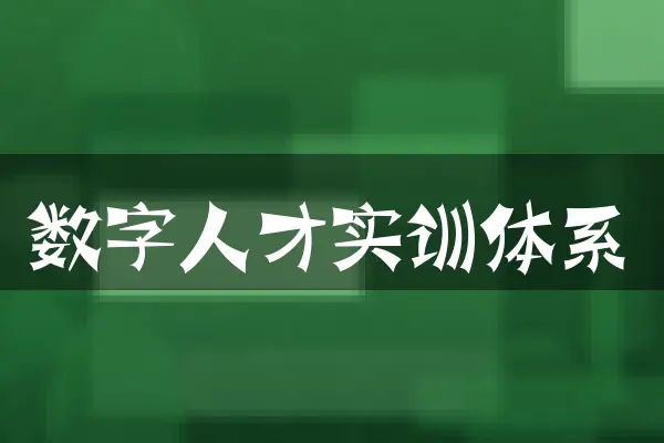 数字人才实训体系