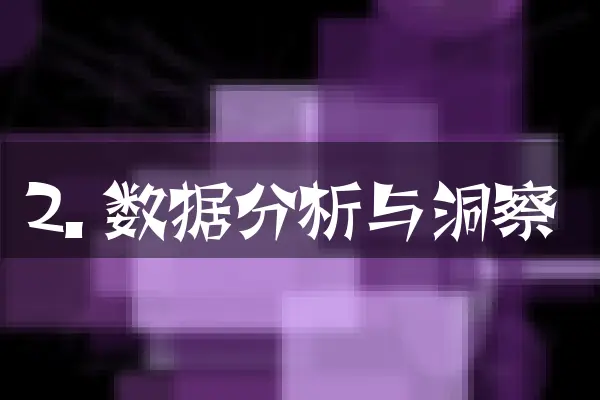 2. 数据分析与洞察