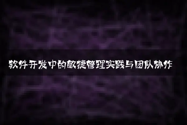 软件开发中的敏捷管理实践与团队协作
